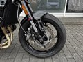 Daumennagel 9 - Triumph Trident 660 MY26 Quickshifter