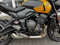 Daumennagel 11 - Triumph Trident 660 MY26 Quickshifter