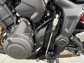 Daumennagel 13 - Triumph Trident 660 MY26 Quickshifter