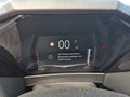 Daumennagel 11 - DS Automobiles DS 4 Pallas 130HDI 130BlueHDI + DAB + LED+