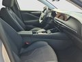 Daumennagel 16 - DS Automobiles DS 4 Pallas 130HDI 130BlueHDI + DAB + LED+