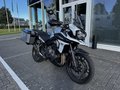 Daumennagel 2 - Triumph Tiger 1200 Alpine Koffer+1.Hand