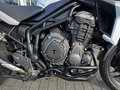 Daumennagel 12 - Triumph Tiger 1200 Alpine Koffer+1.Hand