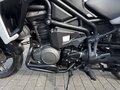 Daumennagel 14 - Triumph Tiger 1200 Alpine Koffer+1.Hand