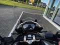 Daumennagel 16 - Triumph Tiger 1200 Alpine Koffer+1.Hand