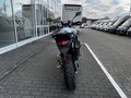 Daumennagel 5 - Triumph Tiger 900 Alpine Edition Akrapovic-Lager