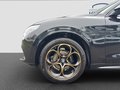 Daumennagel 29 - Alfa Romeo Stelvio Intensa Q4 Technologie-Paket