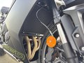 Daumennagel 16 - Triumph Daytona 660 A2-möglich+TFT-Multifunktionsdisplay