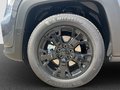 Daumennagel 20 - Jeep Renegade Longitude Mild-Hybrid FWD North Star,Technologie-Paket