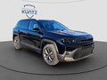 Daumennagel 7 - Jeep Compass E-Hybrid 1.2 eDCT First Edition