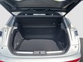 Daumennagel 28 - DS Automobiles DS 7 Étoile BlueHDI 130 Absolute Tech-Paket