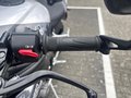 Daumennagel 18 - Triumph Speed Triple 1200 RS MY25 Sofort Verfügbar