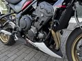Daumennagel 11 - Triumph Trident 800 Quick-Shifter+Lenkerendspiegel