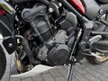 Daumennagel 13 - Triumph Trident 800 Quick-Shifter+Lenkerendspiegel
