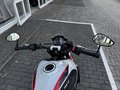 Daumennagel 15 - Triumph Trident 800 Quick-Shifter+Lenkerendspiegel