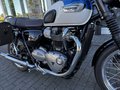 Daumennagel 13 - Triumph Bonneville T100 Seitentaschen+Wartuung neu