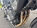 Daumennagel 10 - Triumph Tiger 1200 GT PRO MY25
