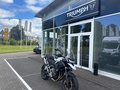 Daumennagel 1 - Triumph Tiger 1200 GT PRO MY25
