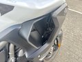 Daumennagel 12 - Triumph Tiger 1200 GT PRO MY25