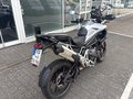Daumennagel 4 - Triumph Tiger 1200 GT PRO MY25