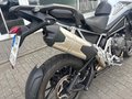 Daumennagel 13 - Triumph Tiger 1200 GT PRO MY25