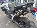 Daumennagel 18 - Triumph Tiger 1200 GT PRO MY25