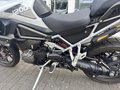 Daumennagel 17 - Triumph Tiger 1200 GT PRO MY25