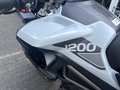 Daumennagel 19 - Triumph Tiger 1200 GT PRO MY25