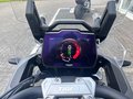 Daumennagel 20 - Triumph Tiger 1200 GT PRO MY25