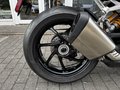 Daumennagel 14 - Triumph Speed Triple 1200 RS MY27 Maui Blue