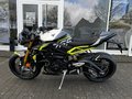 Daumennagel 7 - Triumph Street Triple 765 Moto2 Edition Nr. 669/1000
