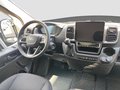 Daumennagel 10 - Fiat Ducato 140AT8 L3H2 35 Maxi Hochdach