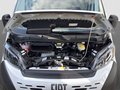 Daumennagel 16 - Fiat Ducato 140AT8 L3H2 35 Maxi Hochdach