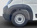Daumennagel 17 - Fiat Ducato 140AT8 L3H2 35 Maxi Hochdach