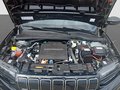 Daumennagel 19 - Jeep Avenger Summit Electric