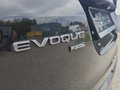 Daumennagel 25 - Land Rover Range Rover Evoque P300e R-Dynamic SE AHK