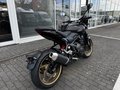 Thumbnail 4 - Triumph Trident 800 115PS Quick-Shifter
