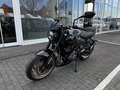Thumbnail 8 - Triumph Trident 800 115PS Quick-Shifter
