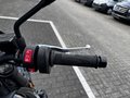 Thumbnail 19 - Triumph Trident 800 115PS Quick-Shifter
