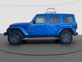 Daumennagel 2 - Jeep Wrangler Unlimited 2.0 T-GDI Sahara SkyOneTouch