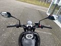 Daumennagel 11 - Triumph Trident 660 A2-Kompatibel+Tempomat+Shift-Assist
