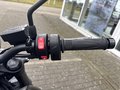 Daumennagel 14 - Triumph Trident 660 A2-Kompatibel+Tempomat+Shift-Assist