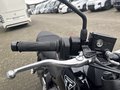 Daumennagel 15 - Triumph Trident 660 A2-Kompatibel+Tempomat+Shift-Assist