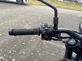 Daumennagel 16 - Triumph Trident 660 A2-Kompatibel+Tempomat+Shift-Assist