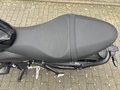 Daumennagel 20 - Triumph Trident 660 A2-Kompatibel+Tempomat+Shift-Assist