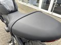 Daumennagel 21 - Triumph Trident 660 A2-Kompatibel+Tempomat+Shift-Assist