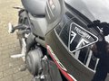 Daumennagel 29 - Triumph Trident 660 A2-Kompatibel+Tempomat+Shift-Assist