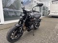 Daumennagel 8 - Triumph Trident 660 A2-Kompatibel+Tempomat+Shift-Assist