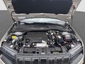 Daumennagel 19 - Jeep Avenger Altitude Infotainment und Komfort Paket
