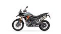 Daumennagel 7 - Triumph Tiger 900 Desert Edition MY26 Akrapovic